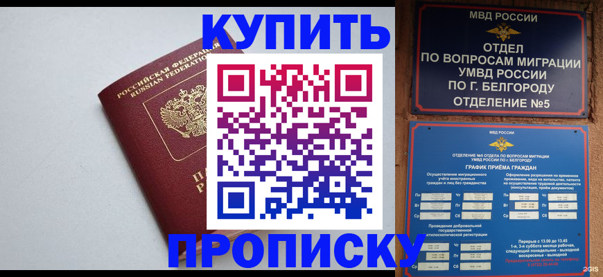 прописка регистрация в Воронежской области